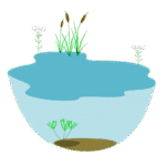 The environmental markets