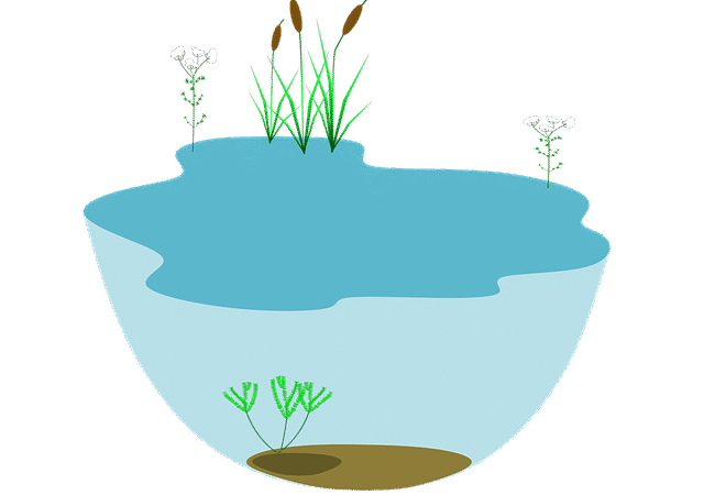 The environmental markets